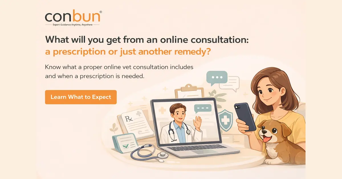 What Will You Get from an Online Vet Consultation: A Prescription or Just Another Remedy?